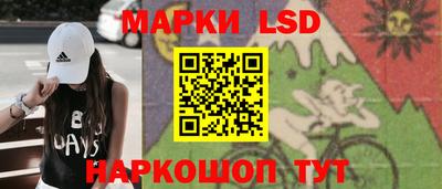 шишки Будённовск