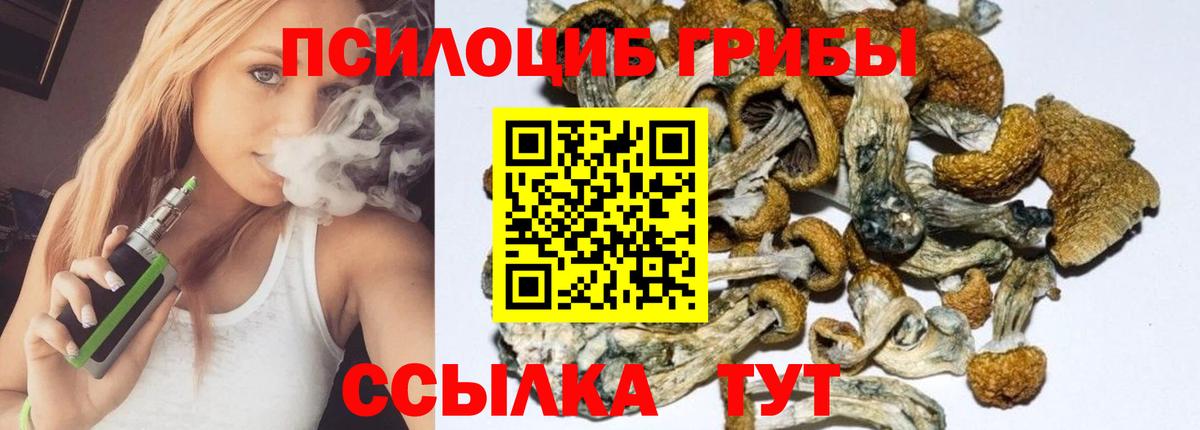 Мытищи  Псилоцибиновые грибы Psilocybe  Псилоцибиновые грибы Cubensis  Вход с VPN 