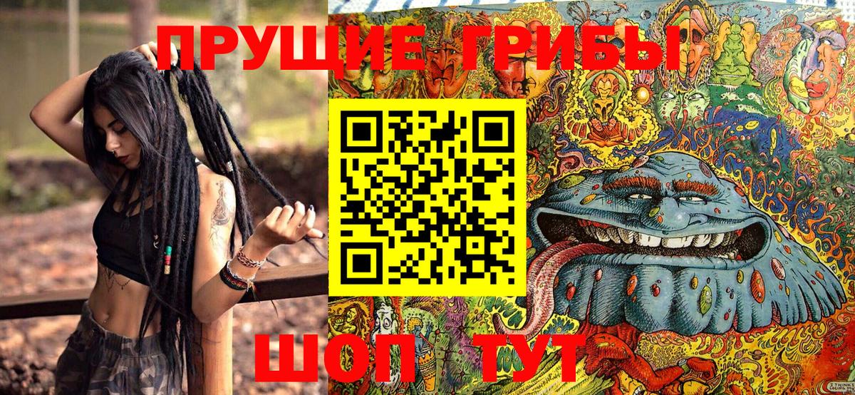 Галлюциногенные грибы прущие грибы Мытищи